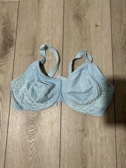 blue bra