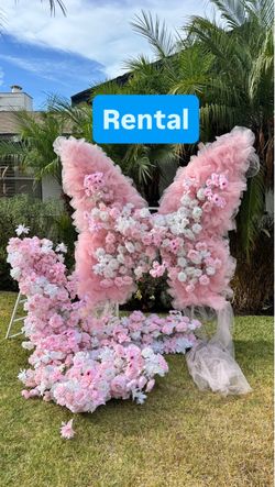 Pink Giant Butterfly Backdrop