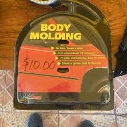 Body Molding