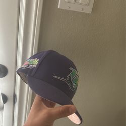 Purple tampa bay rays fitted 