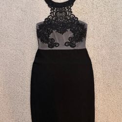 Lipsy London halter neck bodycon dress with lace & net top