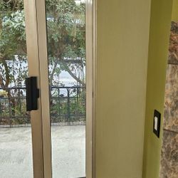 Doggy Door