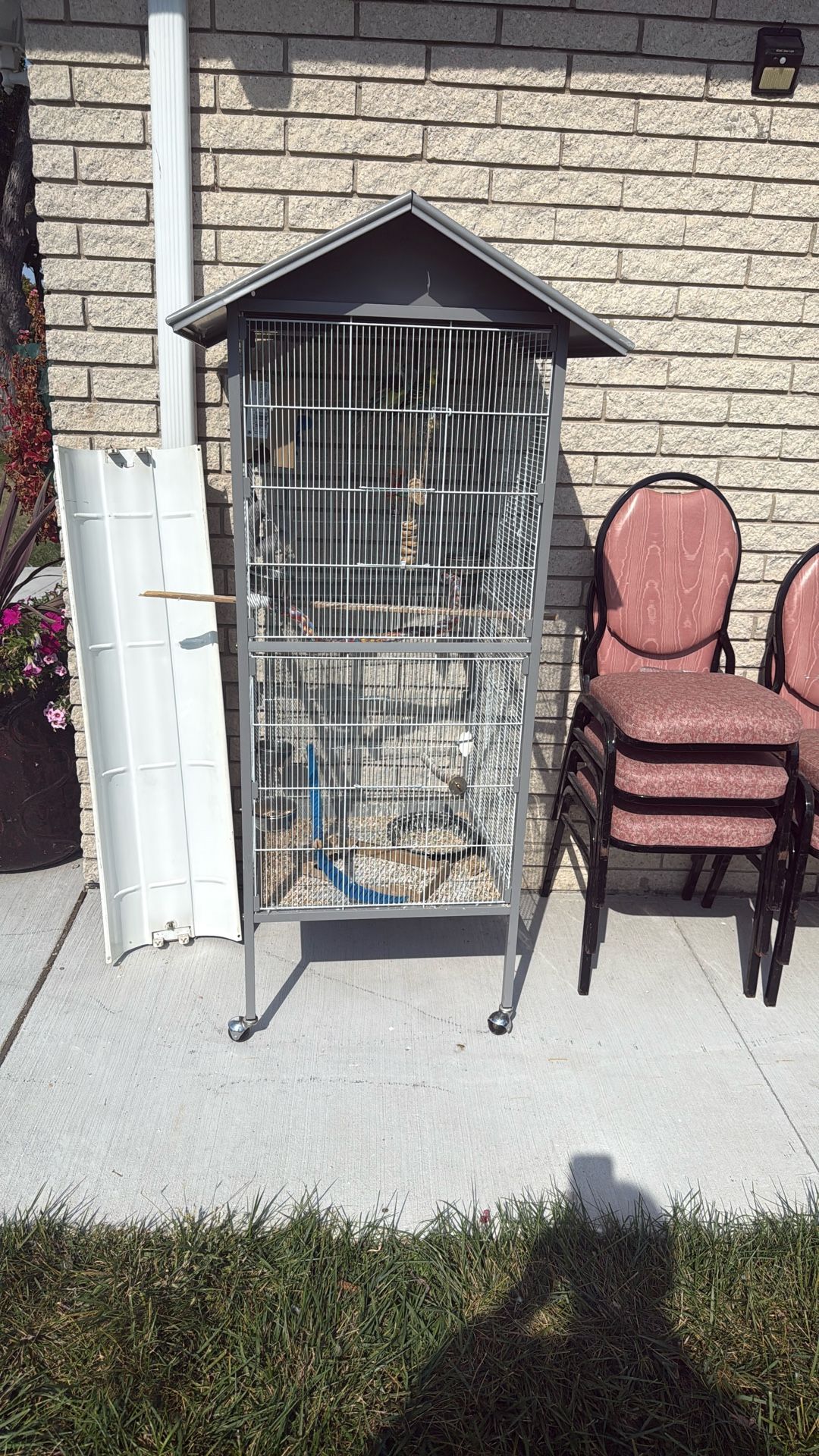 Bird Cage