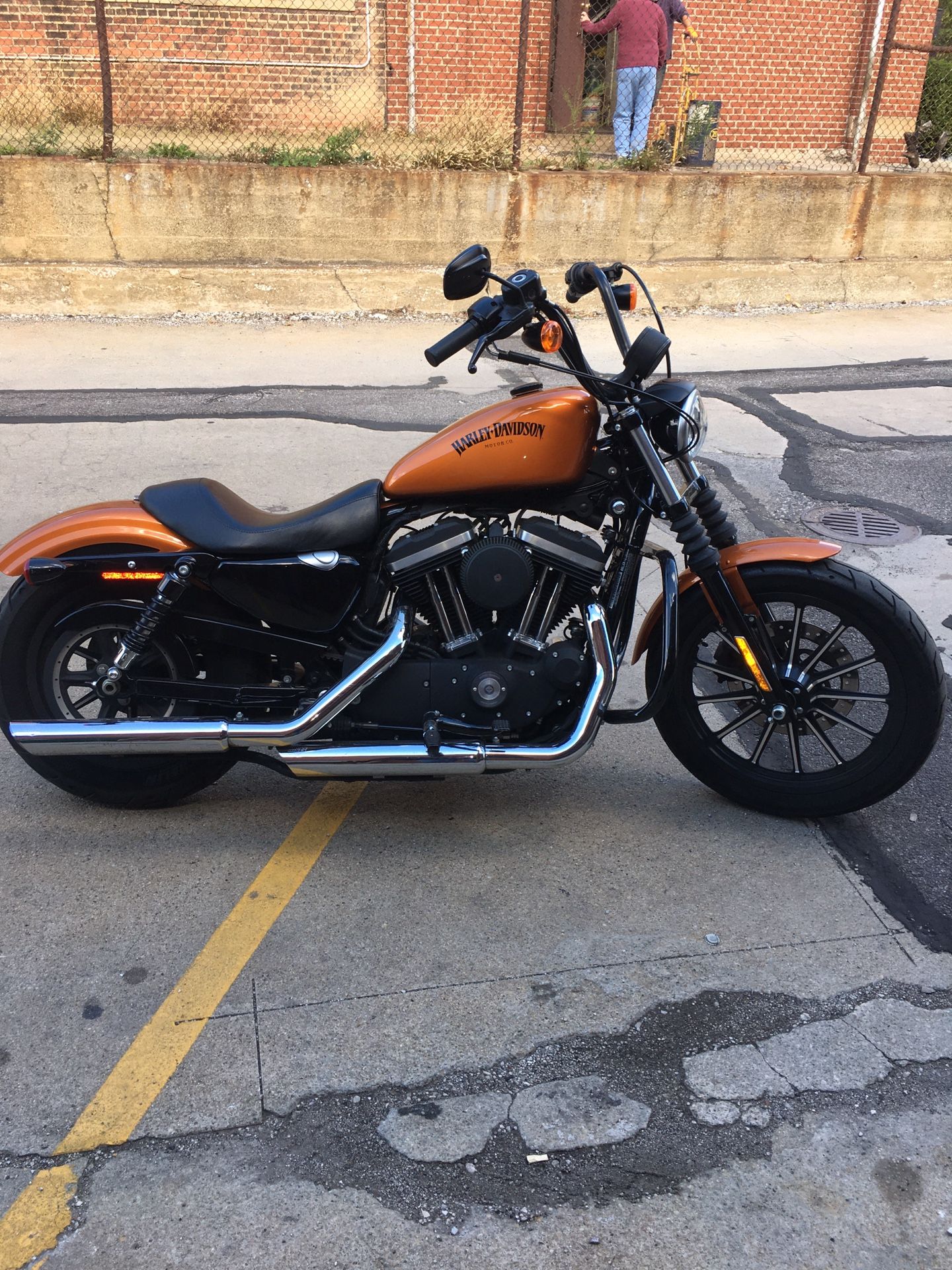 2014 Harley Davidson Sportster 883