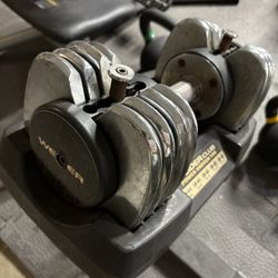 Weider Dumbbells 