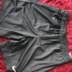 Mens Nike Shorts Size L Standard Fit New