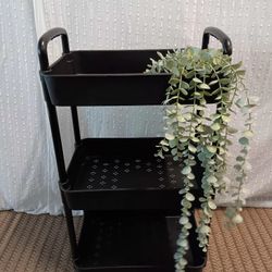 Super Cute Black Organizer For Sale 