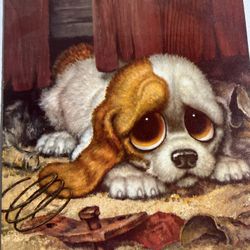 Pity dog