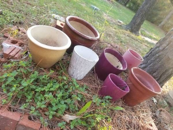 7 Planting Pots