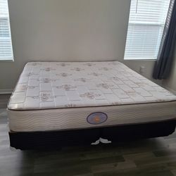 Extra Firm Mattress