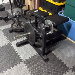 Ritfit leg extension/leg curl