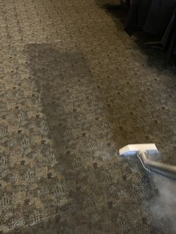 CARPETS