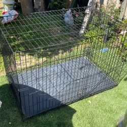 Dog Cage