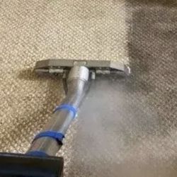deep steam carpet shampoo