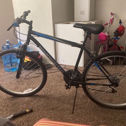 Road master Speed Bike