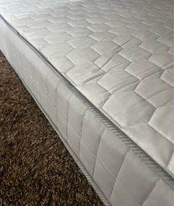 FREE Twin Spring Mattress