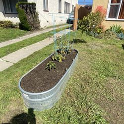 Planting Bed
