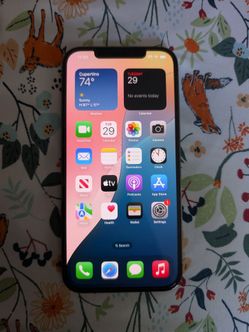 iPhone 12 Pro Max