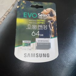 Evo Select 64 GB Samsung