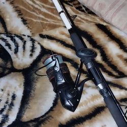 PENN Saltwater Rod And Reel Combo