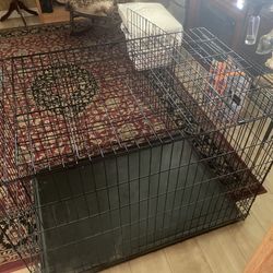 Large Dog Cage