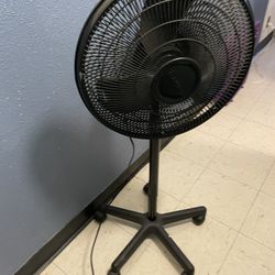 FREE -Black Rolling Floor Fan