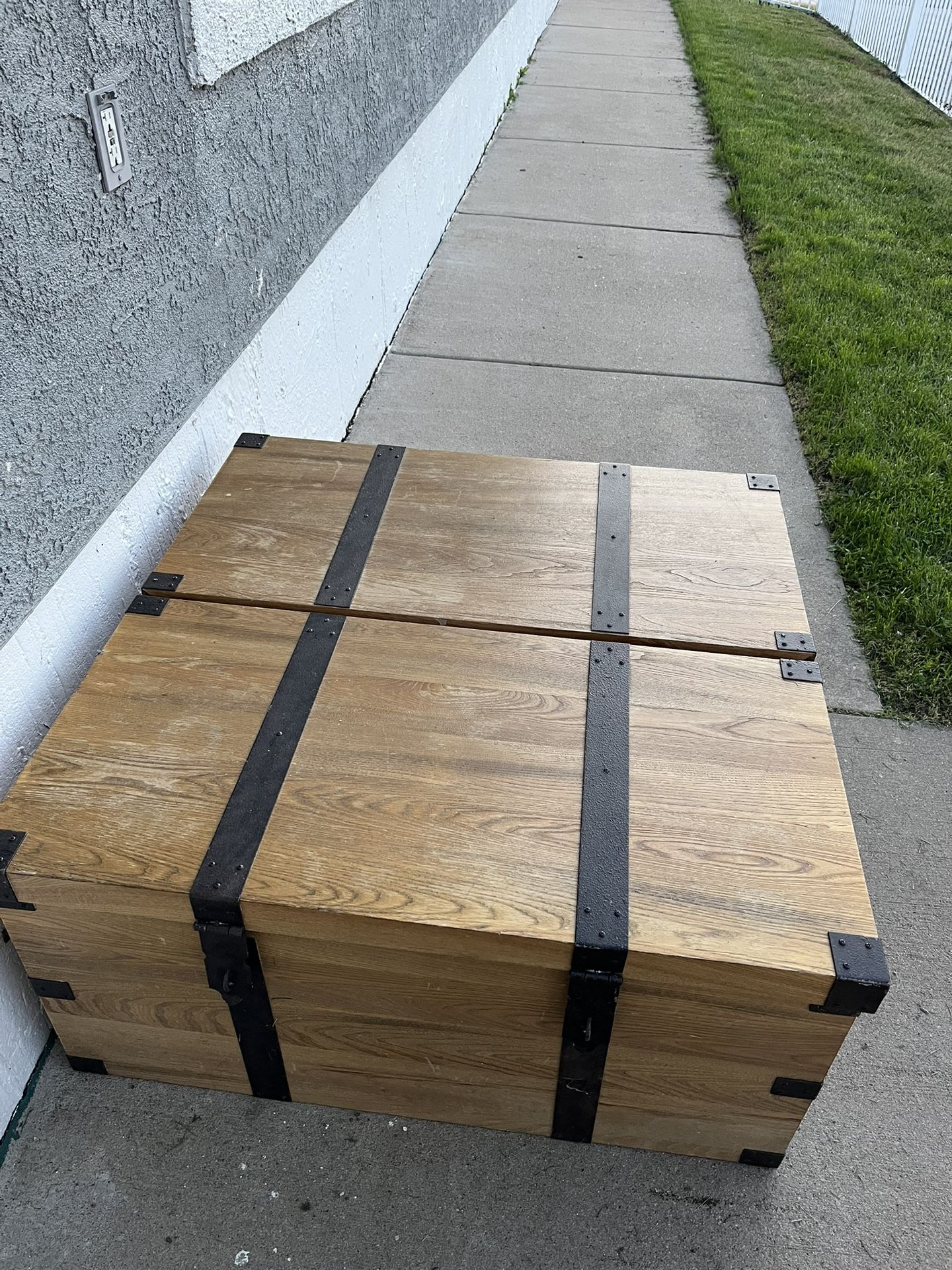 Cute Trunk 