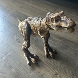 [VERY RARE] TREX HAMMOND COLLECTION 