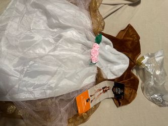 Halloween costumes