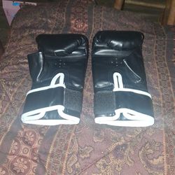 Everlast Boxin Gloves