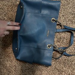 Calvin Klein Purse