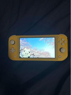 Upgraded switch lite