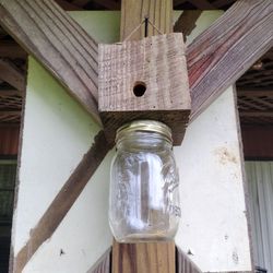 Carpenter Bee Traps