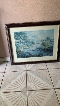 30x26” Pictures 30$