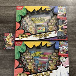 Pokemon Ascended Heroes