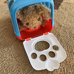 Toy Dog & Kennel Carrier