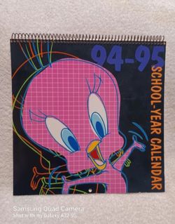 Vintage Looney tunes 1994 / 95 school-year wall calendar