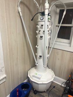 Tower Gardens
