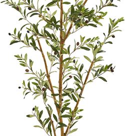 Nearly Natural 82” Olive Artificial Silk Trees Green