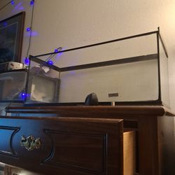 20 Gallon Reptile  Tank