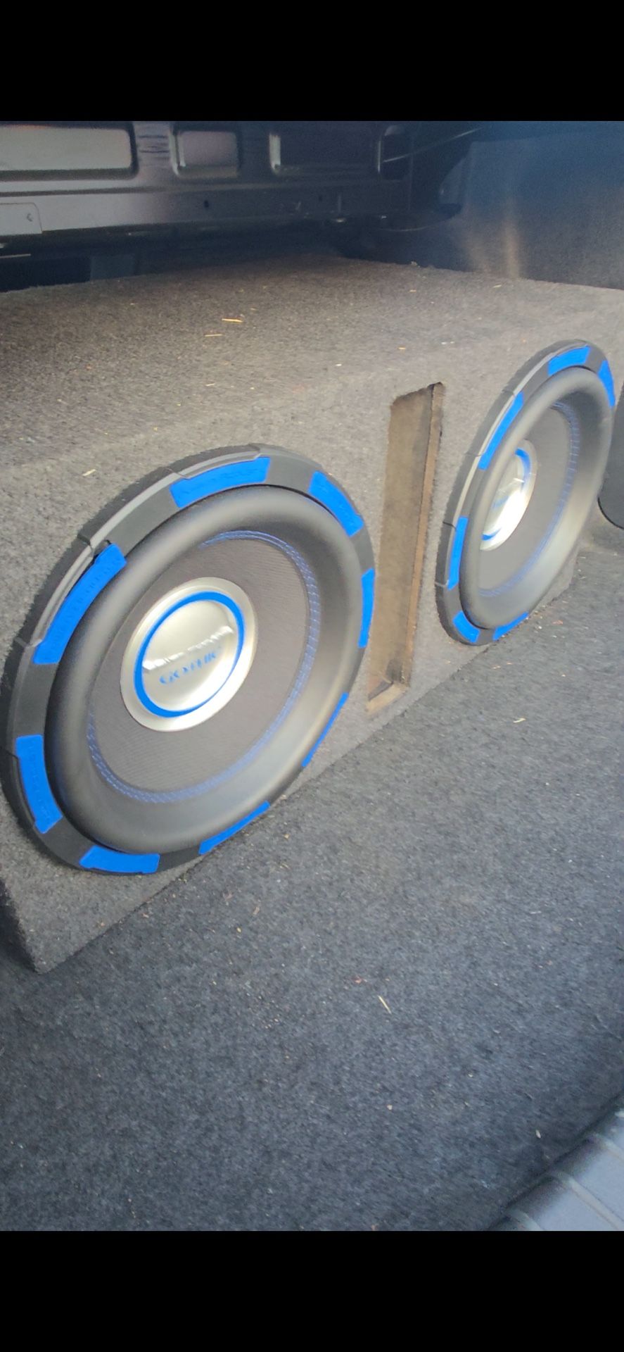 Dual 12in Gothic Subwoofer