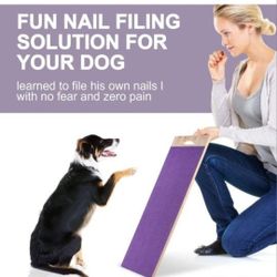  Dog Nail Scratch Pad 
