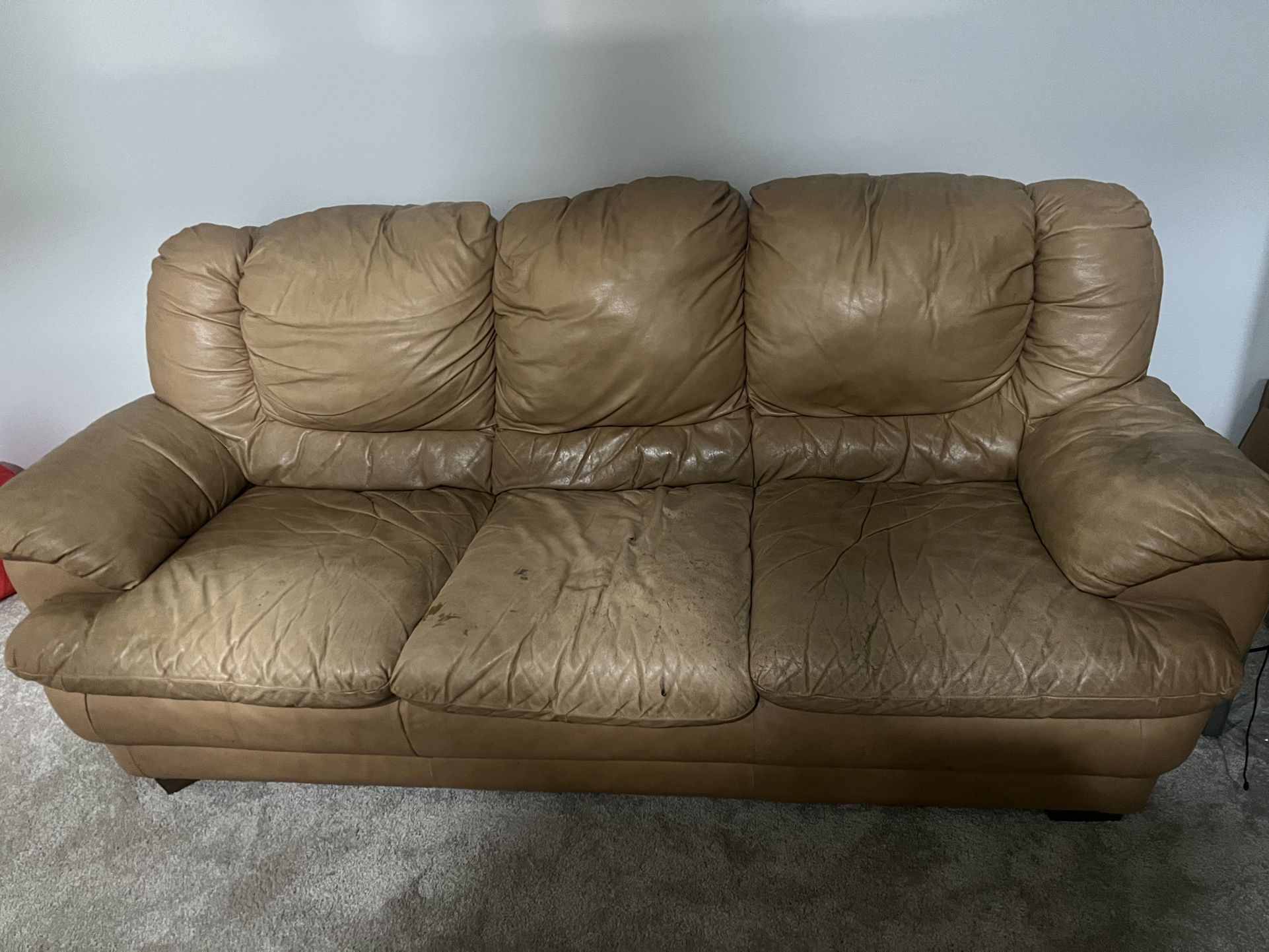 Set Of 2 Leather Couch