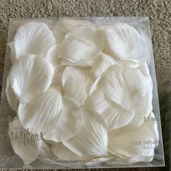 Petals ( Off White Rose Pedals And Eucalyptus Leaves)