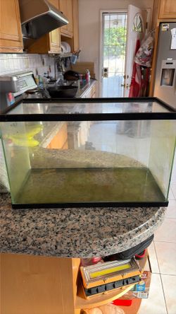 10 gallon fish/reptile tank
