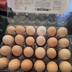 Fresh Organic Eggs ❤️ $5 (4 For $18)