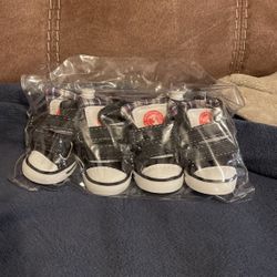 Dog Sneakers