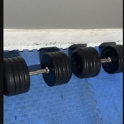(2) 75lb Dumbells 