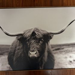 Bull Frame Rustic 