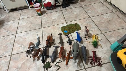 Kids toy